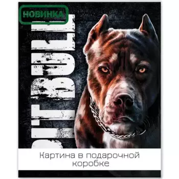 Картина на холсте Питбуль 40x50 см