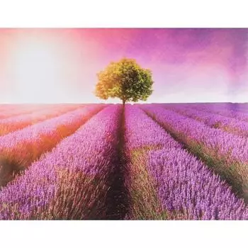 Картина на холсте «Прованс» 40х50 см