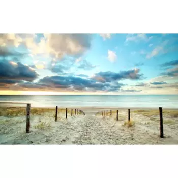 Картина на холсте Тропа к пляжу 60x100 см