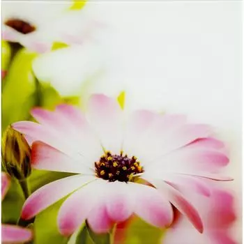 Картина на стекле 30х30 см «Beautiful» 103673549