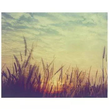 Картина на стекле 40х50 см «Закат над полем»