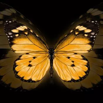 Картина на стекле «Бабочка жёлтая» 40х40 см