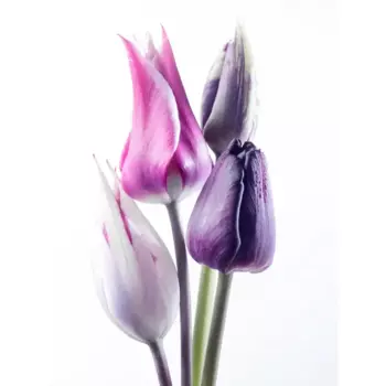 Картина на стекле "Цветочная фантазия" 60x80 см