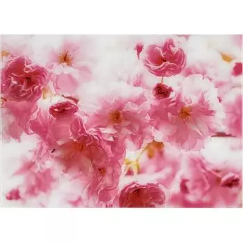 Картина на стекле «Цветущая вишня» 50х70 см