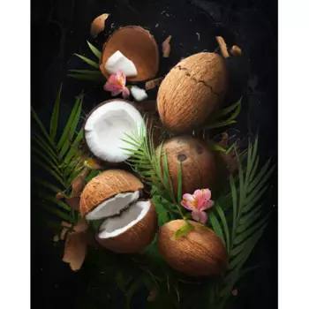 Картина на стекле Кокос 40x50 см
