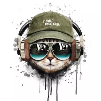 Картина на стекле «Кот-меломан» 30x30 см