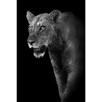 Картина на стекле «Львица» 40x60 см