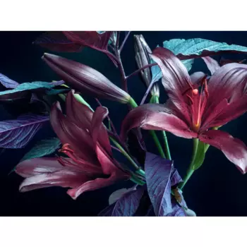 Картина на стекле "Лилии" 80x60 см