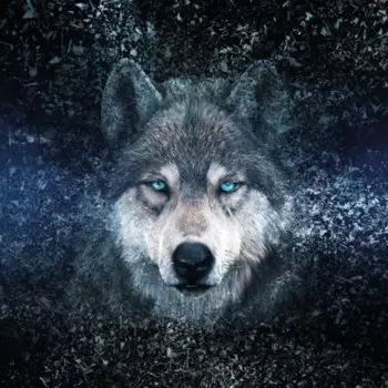 Картина на стекле Postermarket Волк 30x30 см