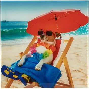 Картина на стекле «Собака на пляже» 30х30 см