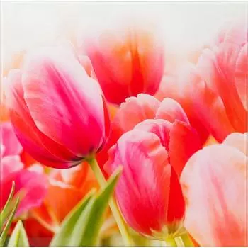 Картина на стекле «Тюльпаны» 30х30 см