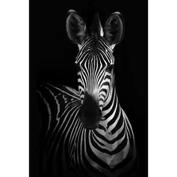 Картина на стекле «Зебра» 40x60 см