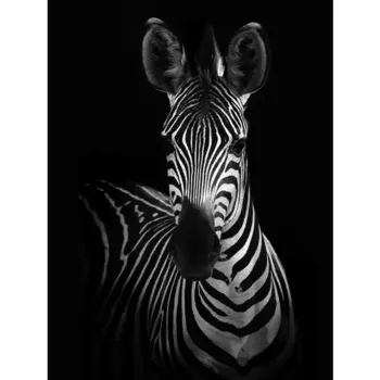 Картина на стекле "Зебра" 60x80 см