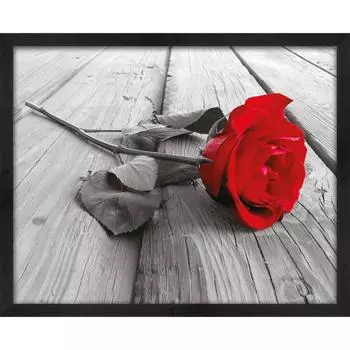 Картина в раме Роза 40x50 см