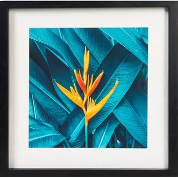 Картина в раме «Тропический цветок» 35x35 см