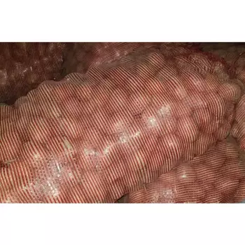 Картофель посевной Гала 2 кг
