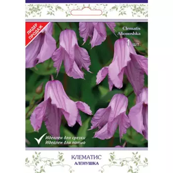 Клематис ботанический Алёнушка h15 см