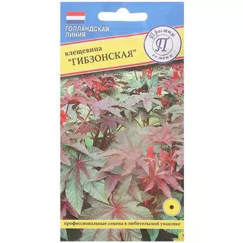 Клещевина «Гибзонская»