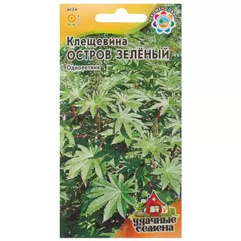 Клещевина «Зелёный остров» 5 шт.