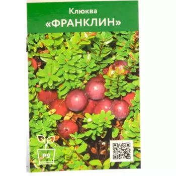 Клюква Франклин h20 см