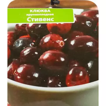 Клюква крупноплодная Стивенс 17 h30 см