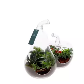 Композиция в стеклянных фруктах 18 h25 см