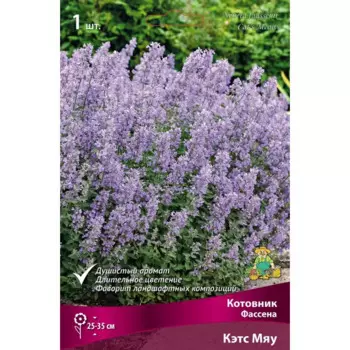 Котовник Кэт Мяу I