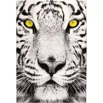 Ковёр Flash 33292/170 1.6х2.25 м полипропилен