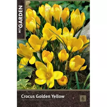 Крокус ботанический Голден Йеллоу луковицы 7/8