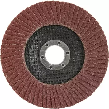 Круг лепестковый торцевой КЛТ1 Р60 125x22.2 мм
