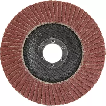 Круг лепестковый торцевой КЛТ2 Волжский Абразивный Завод Р60 125x22.2 мм