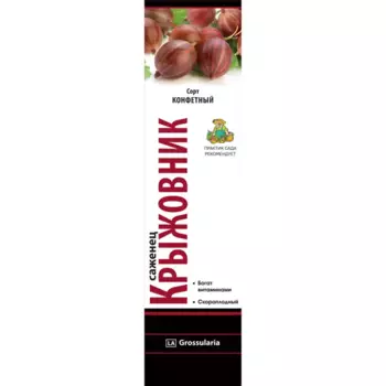 Крыжовник Конфетный коробка h39 см
