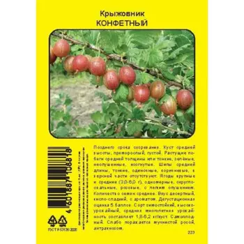Крыжовник Конфетный пакет h40 см