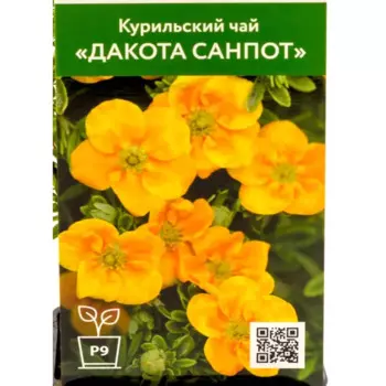 Курильский чай Дакота Санпот 9 см h40 см