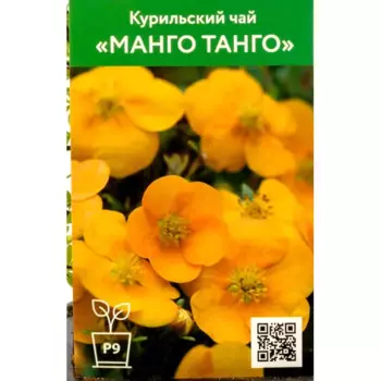 Курильский чай Манго Танго 9 см h40 см
