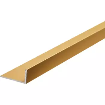Профиль L-образный алюминий анодированный 20x10x1.2x2700 мм золотой