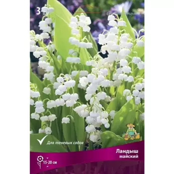 Ландыш Майский 3 шт.