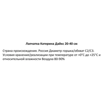 Лапчатка Катерина Дайкс 19 h20-40 см