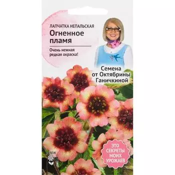 Лапчатка «Огненное пламя» 0.02 г