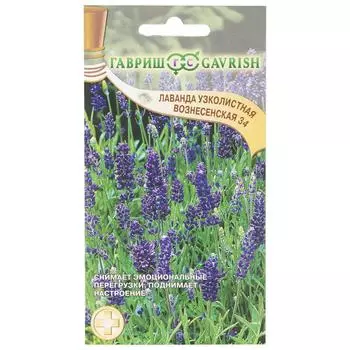 Семена цветов Лаванда узколистная Вознесенская синяя Гавриш