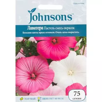 Лаватера Пастель