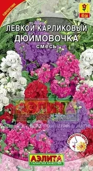 Левкой карликовый «Дюймовочка» смесь окрасок