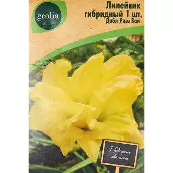 Лилейник Geolia гибридный Дабл Ривэ Вай