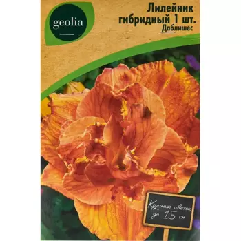 Лилейник Geolia гибридный Даблишес