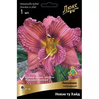 Лилейник гибридный «Нoвэе ту Хайд»
