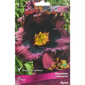 Лилейник гибридный Вупи