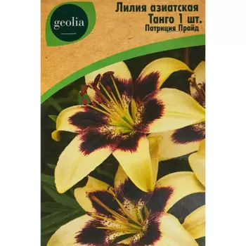 Лилия Geolia азиатская Танго Патриция Прайд