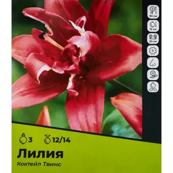 Лилия Коктейл Твинс луковицы 12/14, 3 шт.