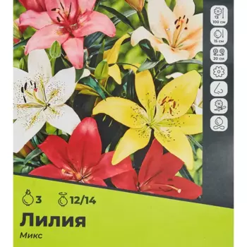 Лилия микс луковицы 12/14, 3 шт.