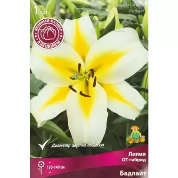 Лилия ОТ-гибрид Бадлайт 1 шт.